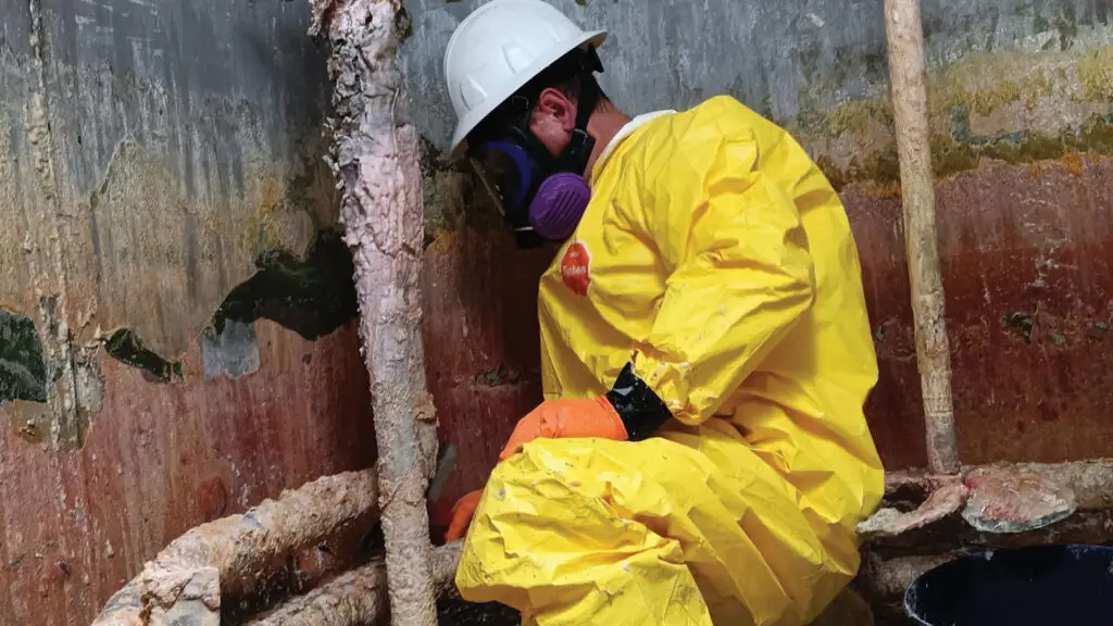 environmental cleaning