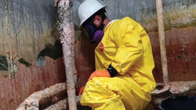 environmental cleaning